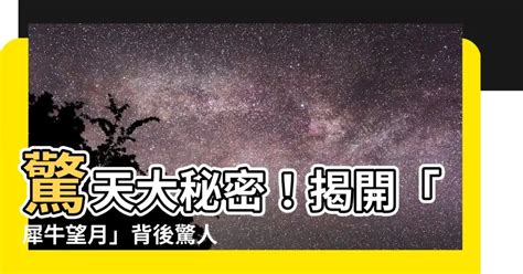 犀牛望月的意思|犀牛望月 的意思、解釋、用法、例句